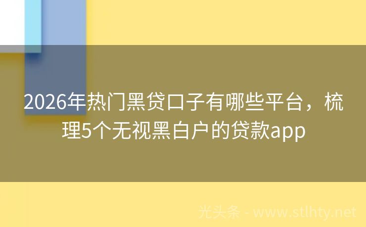 2026年热门黑贷口子有哪些平台，梳理5个无视黑白户的贷款app