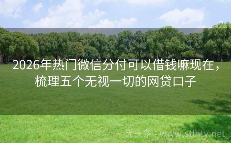 2026年热门微信分付可以借钱嘛现在，梳理五个无视一切的网贷口子