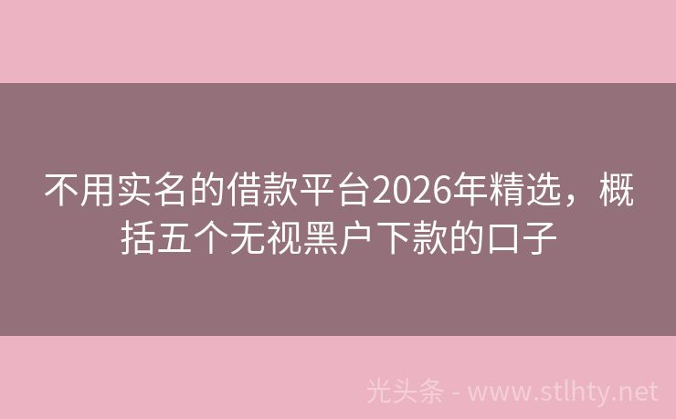 不用实名的借款平台2026年精选，概括五个无视黑户下款的口子