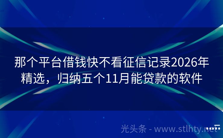 那个平台借钱快不看征信记录2026年精选，归纳五个11月能贷款的软件