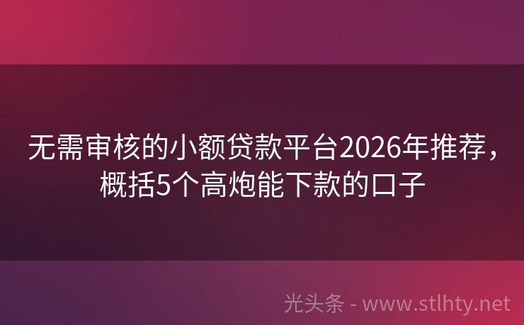 无需审核的小额贷款平台2026年推荐，概括5个高炮能下款的口子