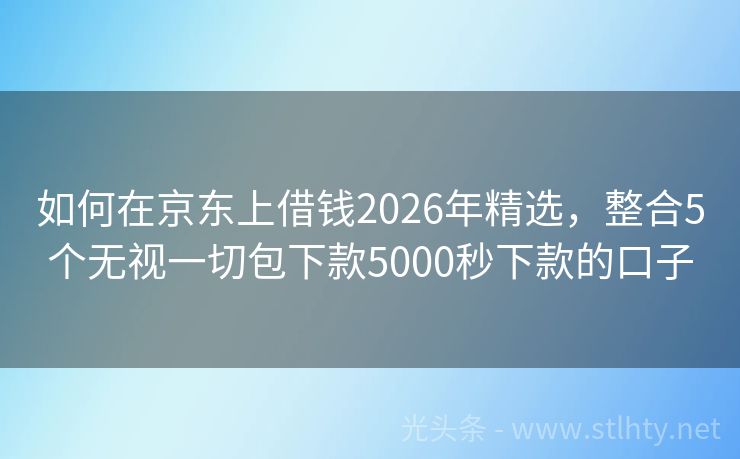 如何在京东上借钱2026年精选，整合5个无视一切包下款5000秒下款的口子