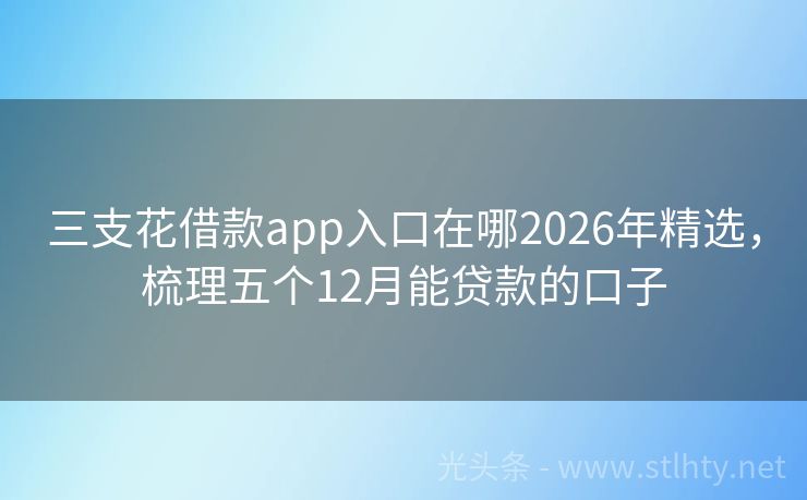 三支花借款app入口在哪2026年精选，梳理五个12月能贷款的口子