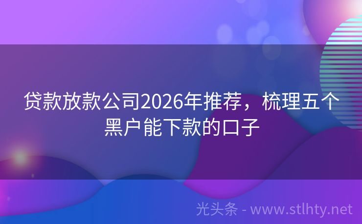 贷款放款公司2026年推荐，梳理五个黑户能下款的口子