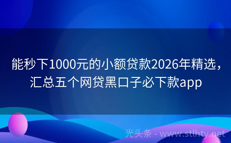 能秒下1000元的小额贷款2026年精选，汇总五个网贷黑口子必下款app