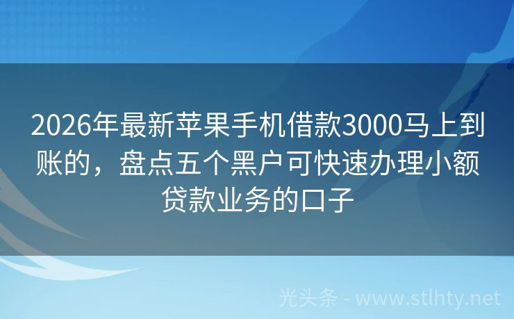 2026年最新苹果手机借款3000马上到账的，盘点五个黑户可快速办理小额贷款业务的口子