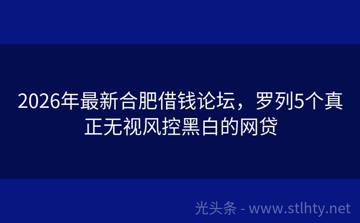 2026年最新合肥借钱论坛，罗列5个真正无视风控黑白的网贷