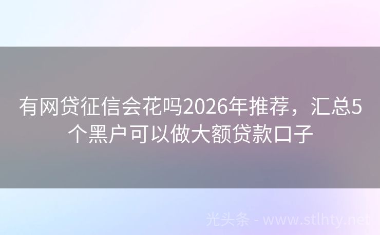 有网贷征信会花吗2026年推荐，汇总5个黑户可以做大额贷款口子