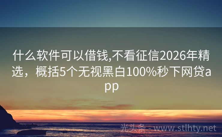 什么软件可以借钱,不看征信2026年精选，概括5个无视黑白100%秒下网贷app