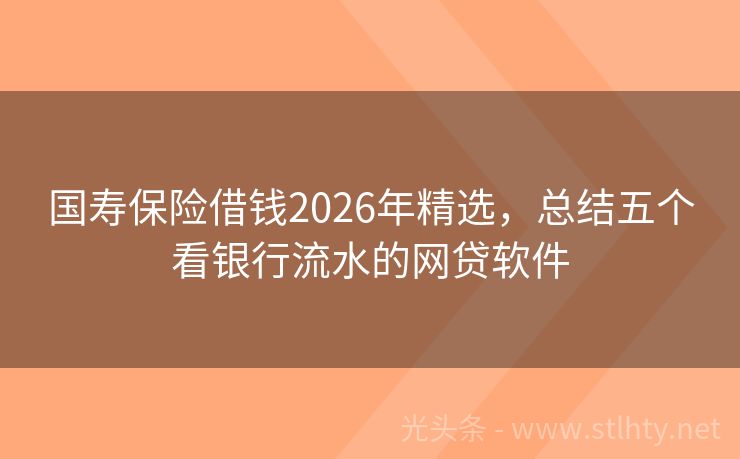 国寿保险借钱2026年精选，总结五个看银行流水的网贷软件