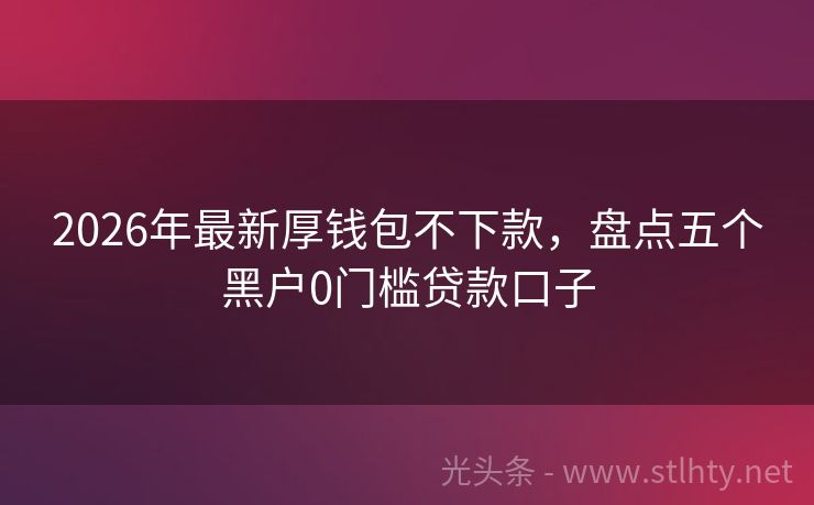 2026年最新厚钱包不下款，盘点五个黑户0门槛贷款口子