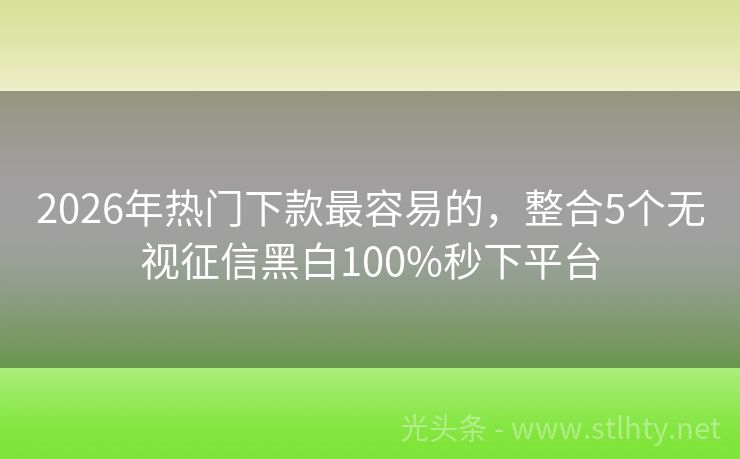 2026年热门下款最容易的，整合5个无视征信黑白100%秒下平台