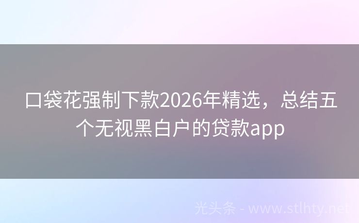 口袋花强制下款2026年精选，总结五个无视黑白户的贷款app