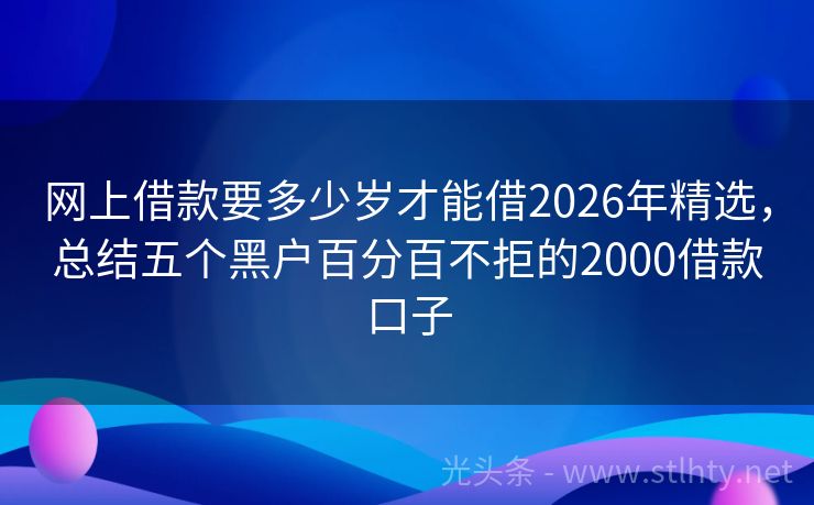 网上借款要多少岁才能借2026年精选，总结五个黑户百分百不拒的2000借款口子