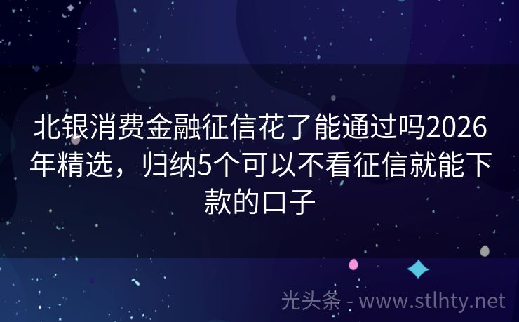 北银消费金融征信花了能通过吗2026年精选，归纳5个可以不看征信就能下款的口子