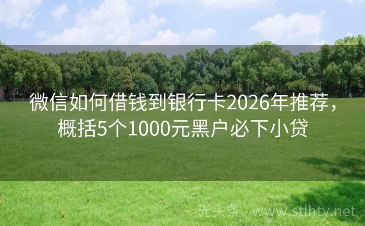 微信如何借钱到银行卡2026年推荐，概括5个1000元黑户必下小贷