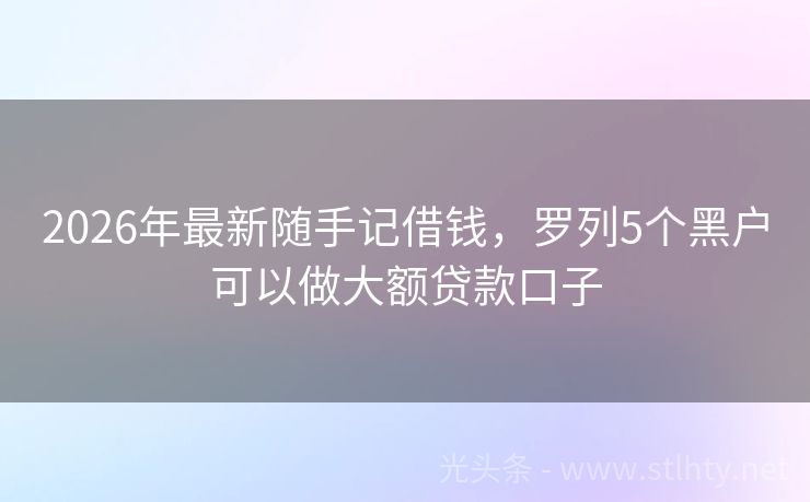 2026年最新随手记借钱，罗列5个黑户可以做大额贷款口子