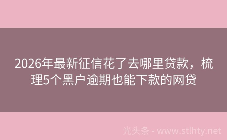 2026年最新征信花了去哪里贷款，梳理5个黑户逾期也能下款的网贷