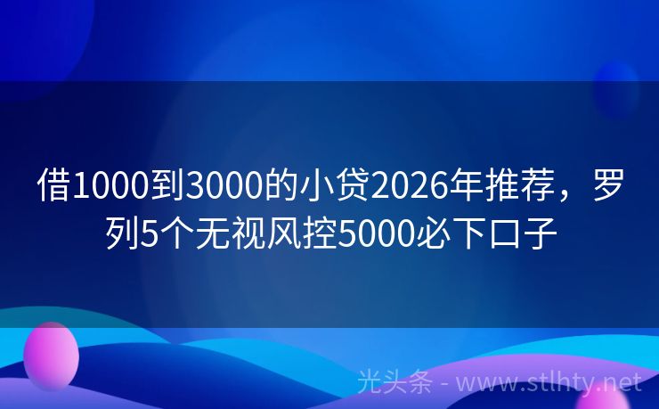 借1000到3000的小贷2026年推荐，罗列5个无视风控5000必下口子