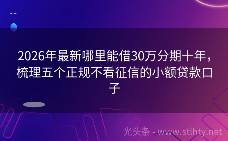 2026年最新哪里能借30万分期十年，梳理五个正规不看征信的小额贷款口子