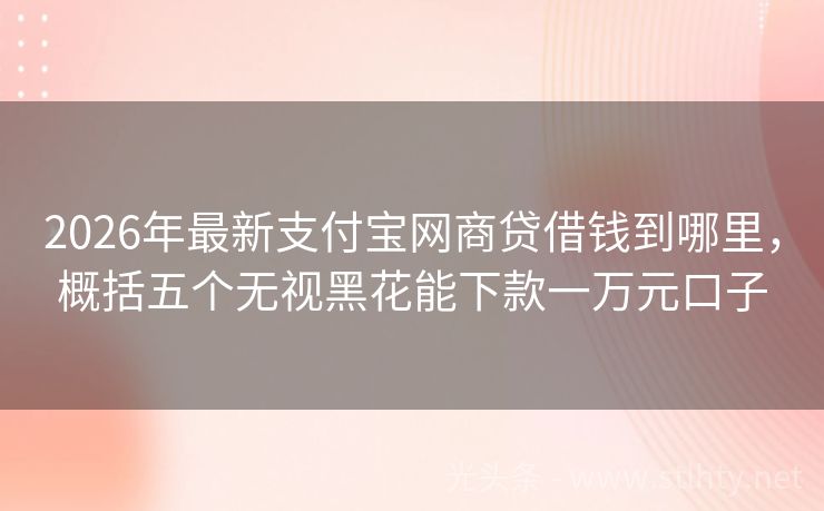 2026年最新支付宝网商贷借钱到哪里，概括五个无视黑花能下款一万元口子