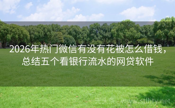 2026年热门微信有没有花被怎么借钱，总结五个看银行流水的网贷软件