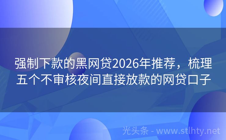 强制下款的黑网贷2026年推荐，梳理五个不审核夜间直接放款的网贷口子