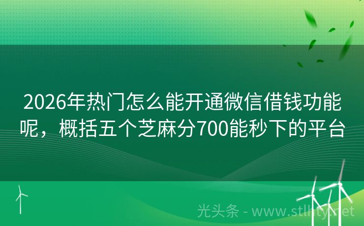 2026年热门怎么能开通微信借钱功能呢，概括五个芝麻分700能秒下的平台