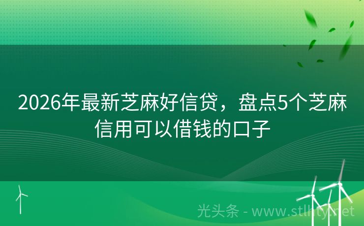 2026年最新芝麻好信贷，盘点5个芝麻信用可以借钱的口子