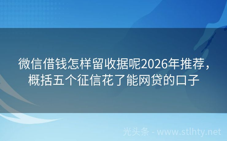 微信借钱怎样留收据呢2026年推荐，概括五个征信花了能网贷的口子