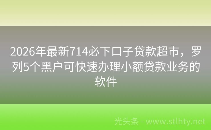 2026年最新714必下口子贷款超市，罗列5个黑户可快速办理小额贷款业务的软件