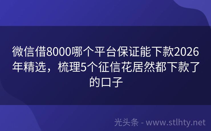 微信借8000哪个平台保证能下款2026年精选，梳理5个征信花居然都下款了的口子