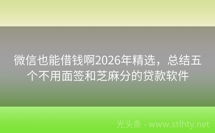 微信也能借钱啊2026年精选，总结五个不用面签和芝麻分的贷款软件
