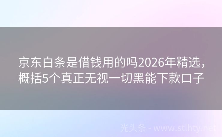 京东白条是借钱用的吗2026年精选，概括5个真正无视一切黑能下款口子