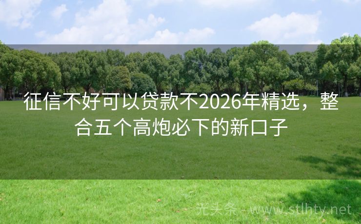 征信不好可以贷款不2026年精选，整合五个高炮必下的新口子