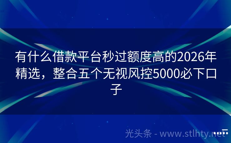 有什么借款平台秒过额度高的2026年精选，整合五个无视风控5000必下口子