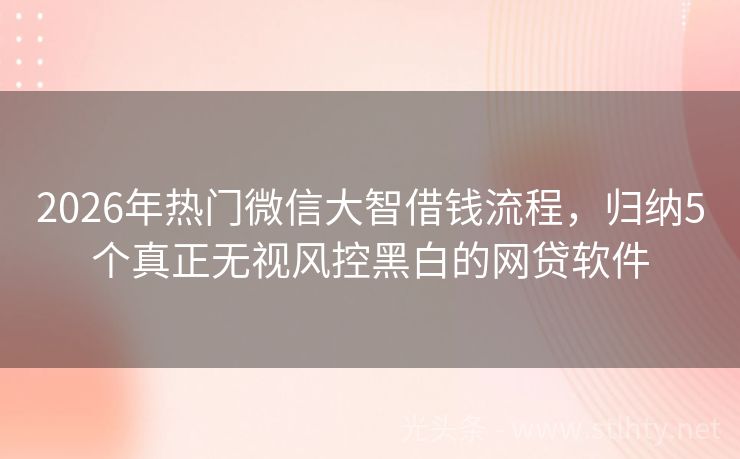 2026年热门微信大智借钱流程，归纳5个真正无视风控黑白的网贷软件