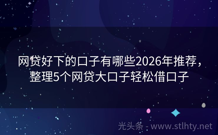 网贷好下的口子有哪些2026年推荐，整理5个网贷大口子轻松借口子