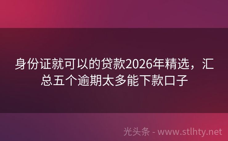 身份证就可以的贷款2026年精选，汇总五个逾期太多能下款口子