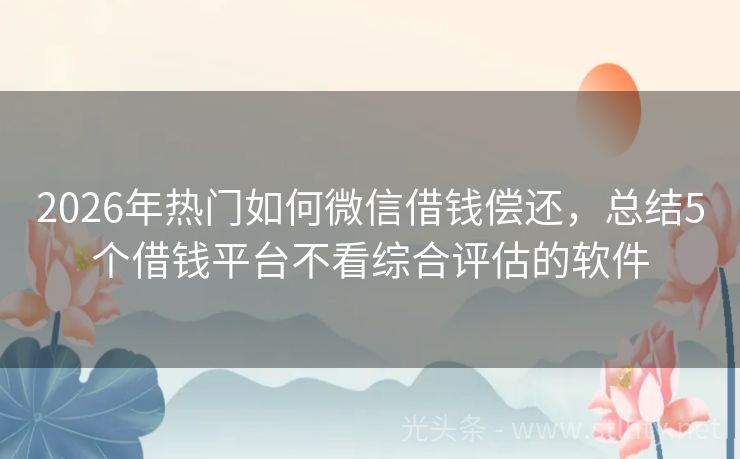 2026年热门如何微信借钱偿还，总结5个借钱平台不看综合评估的软件