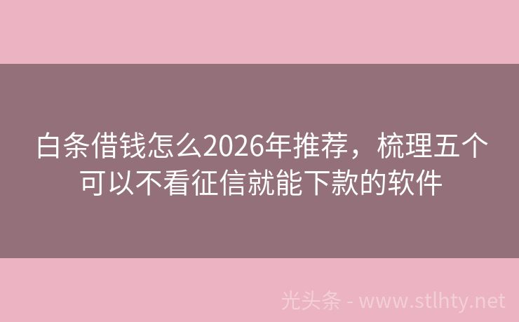 白条借钱怎么2026年推荐，梳理五个可以不看征信就能下款的软件