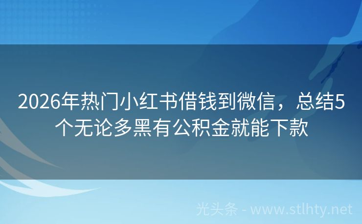 2026年热门小红书借钱到微信，总结5个无论多黑有公积金就能下款