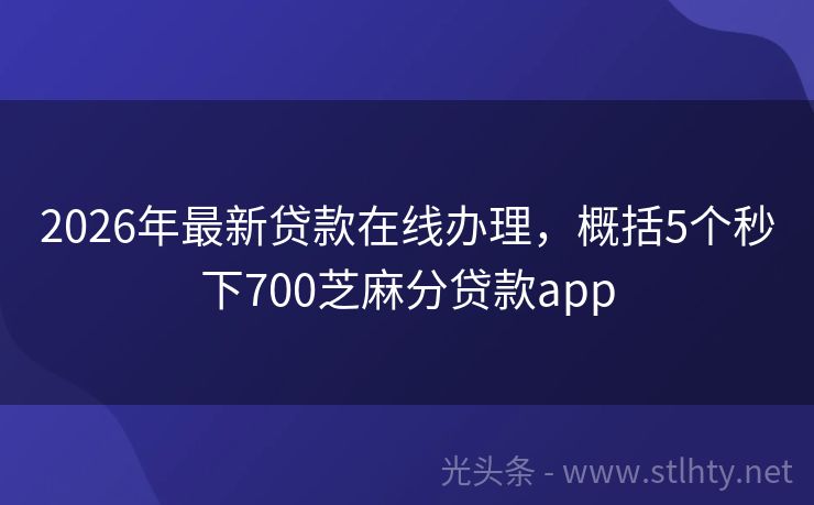 2026年最新贷款在线办理，概括5个秒下700芝麻分贷款app