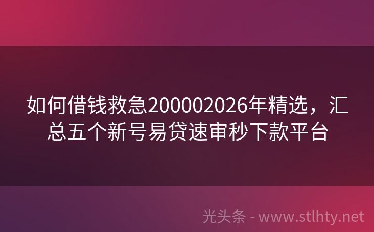 如何借钱救急200002026年精选，汇总五个新号易贷速审秒下款平台