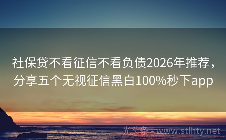 社保贷不看征信不看负债2026年推荐，分享五个无视征信黑白100%秒下app