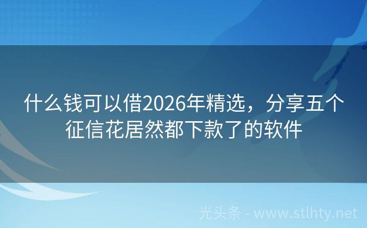 什么钱可以借2026年精选，分享五个征信花居然都下款了的软件