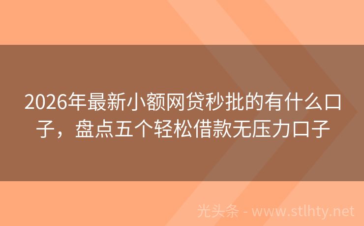2026年最新小额网贷秒批的有什么口子，盘点五个轻松借款无压力口子