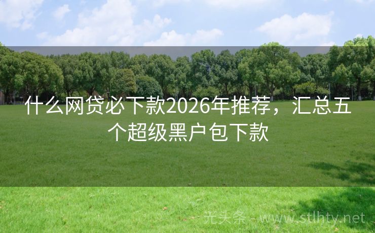 什么网贷必下款2026年推荐，汇总五个超级黑户包下款