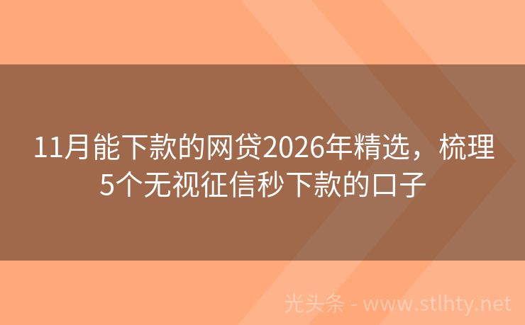 11月能下款的网贷2026年精选，梳理5个无视征信秒下款的口子