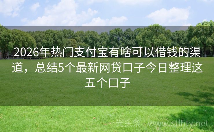 2026年热门支付宝有啥可以借钱的渠道，总结5个最新网贷口子今日整理这五个口子